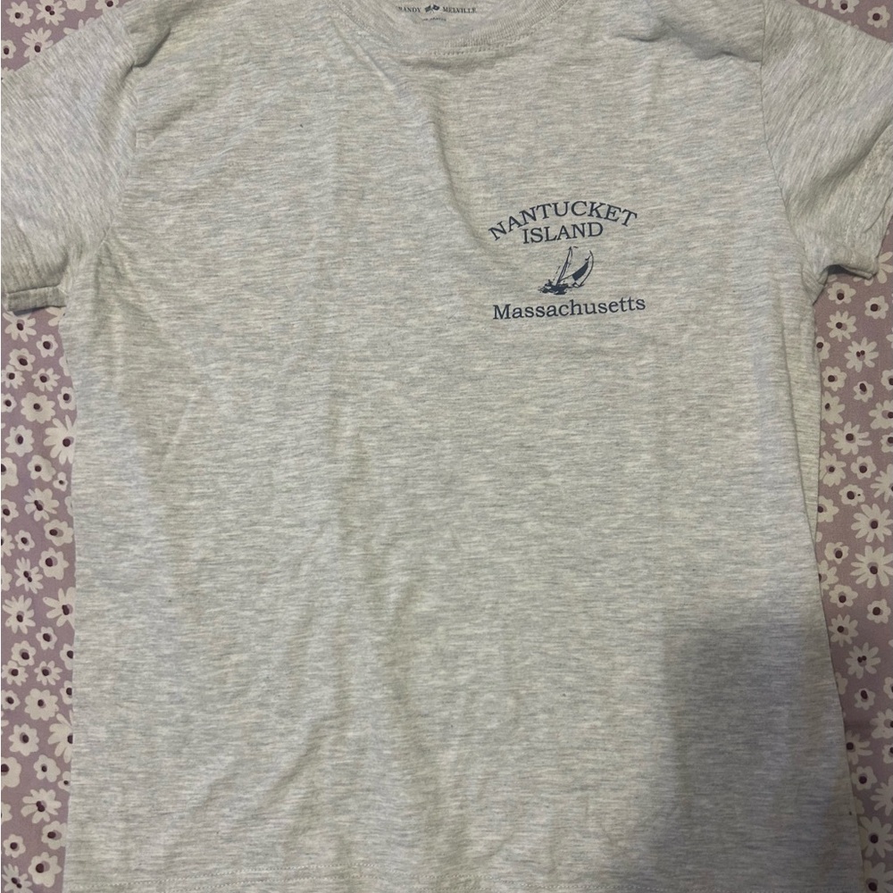 Nantucket Island Gray T-Shirt